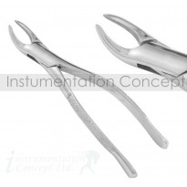 Curved Wolf Incisor Tooth Forceps 18cm